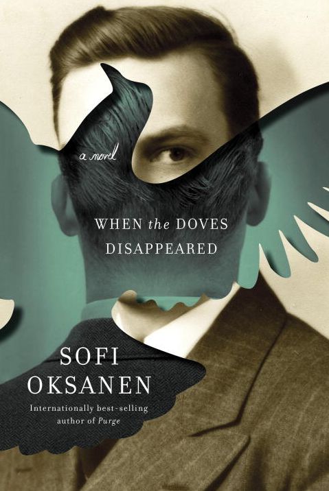 When the Doves Disappeared: A novel