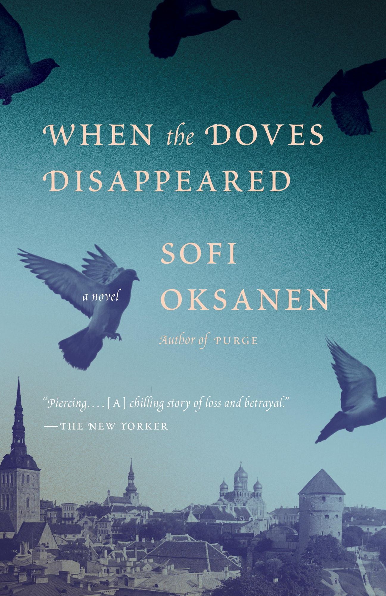 When the Doves Disappeared: A novel