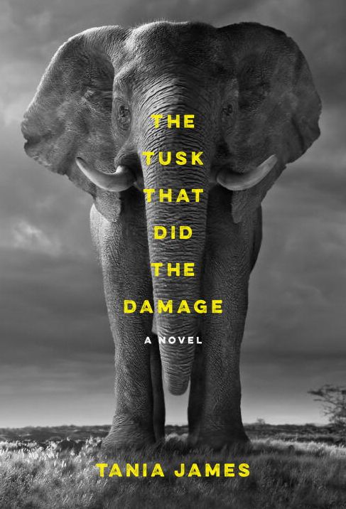 The Tusk That Did the Damage