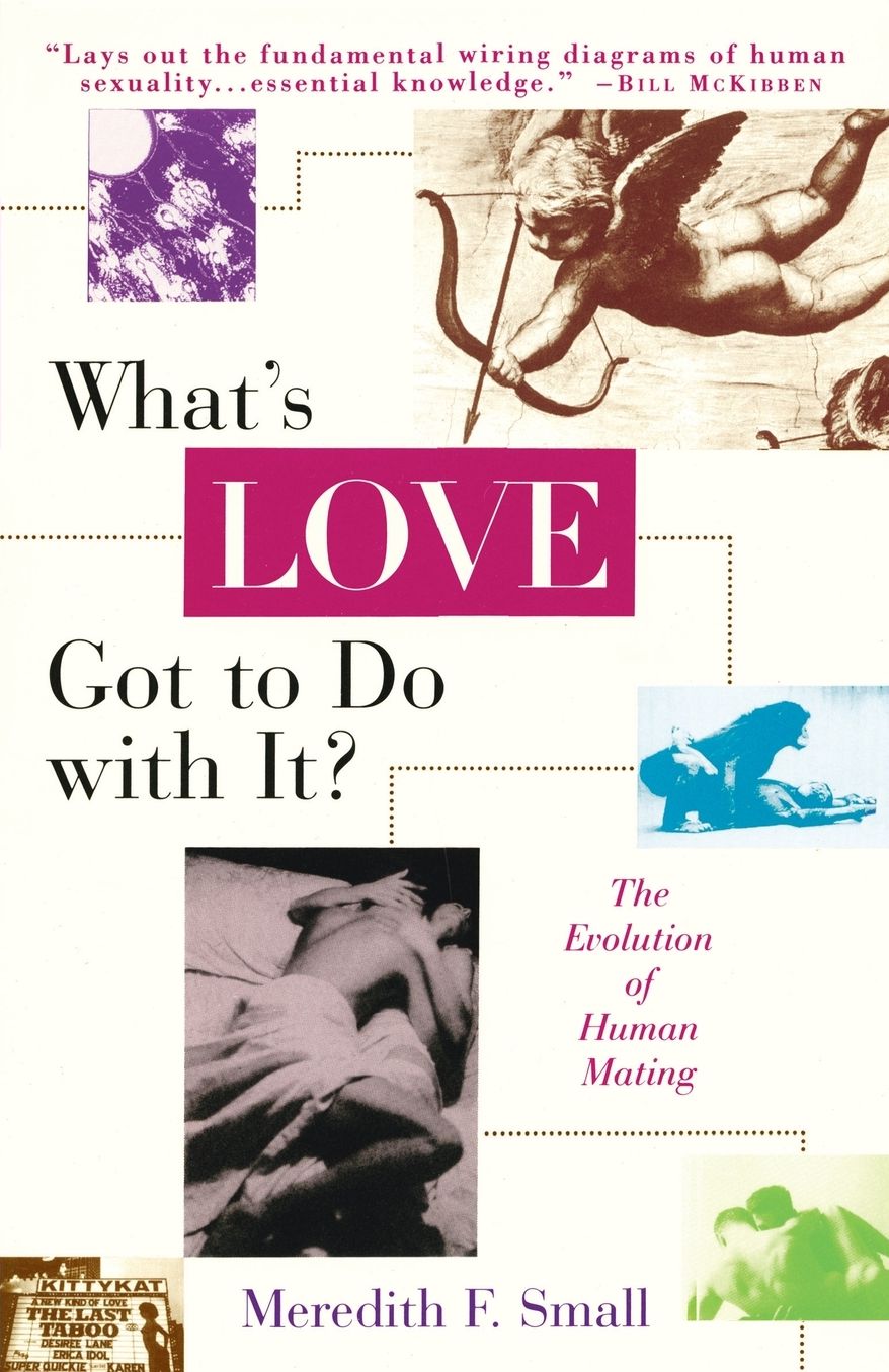 What's Love Got to Do with It?
