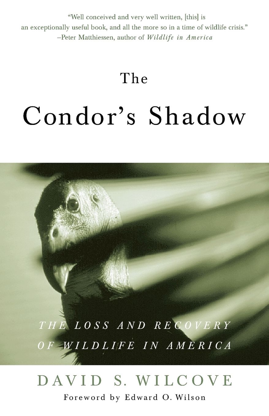 The Condor's Shadow: The Loss and Recovery of Wildlife in America