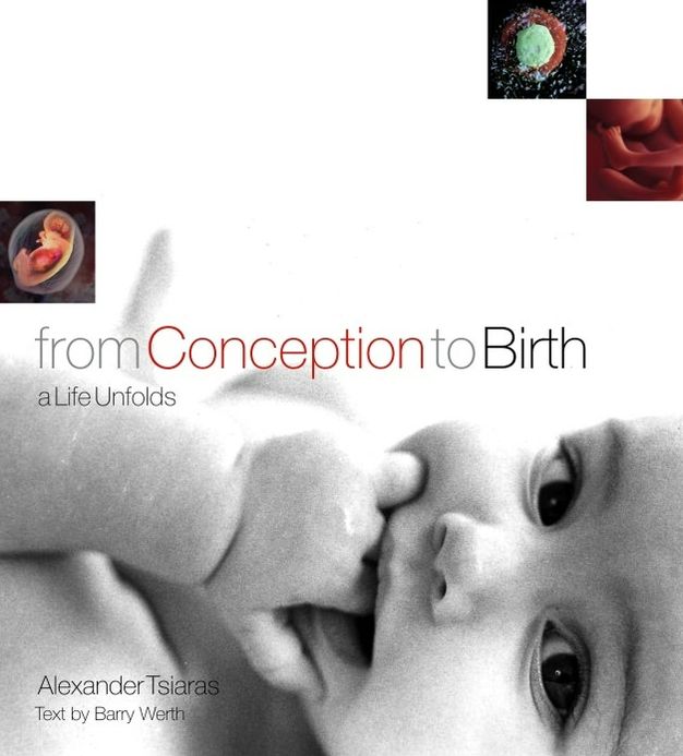 From Conception To Birth: A Life Unfolds