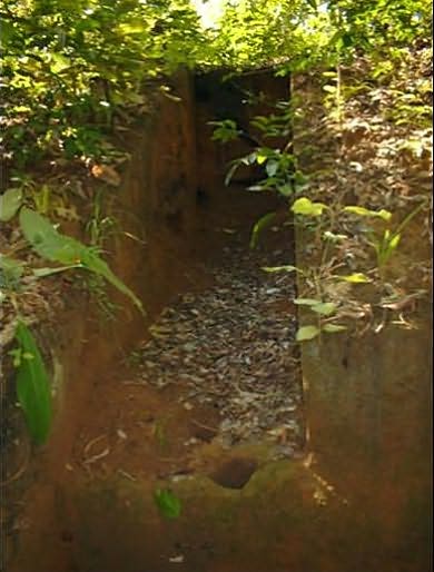 The Lost City of Z: A Tale of Deadly Obsession in the Amazon