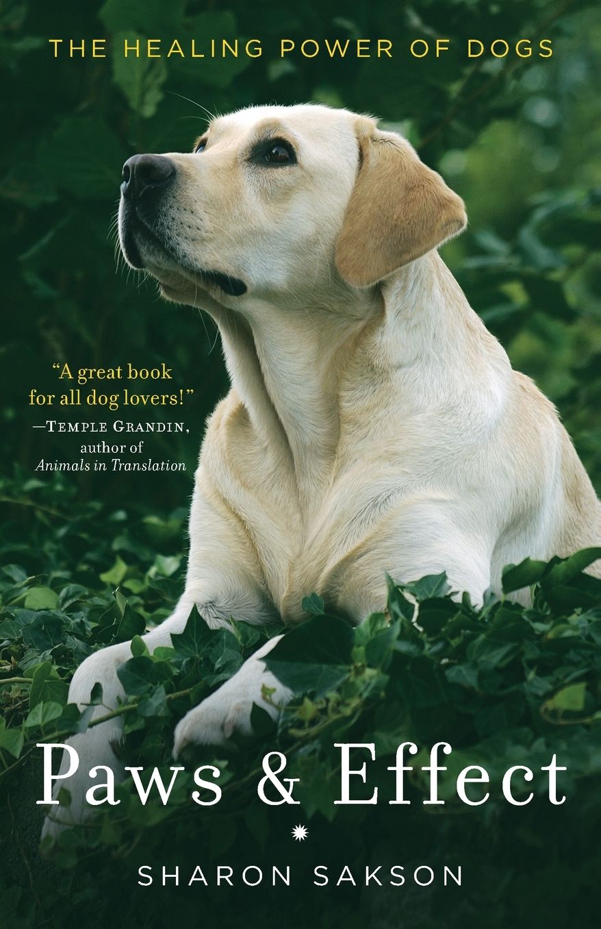 Paws and Effect: The Healing Power of Dogs
