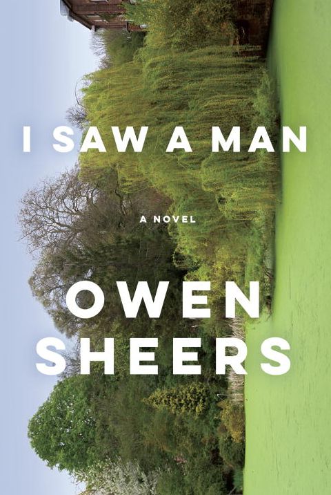 I Saw a Man: A Novel