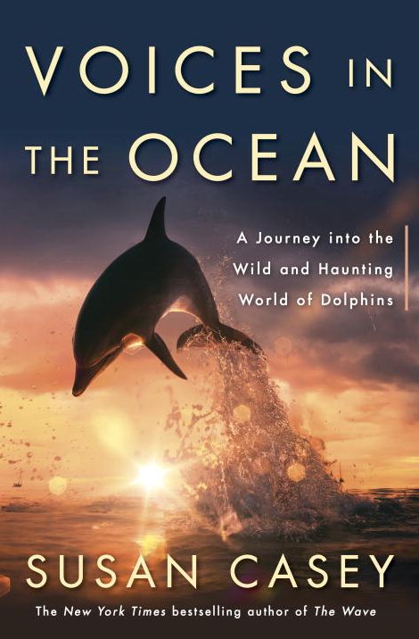 Voices in the Ocean: A Journey Into the Wild and Haunting World of Dolphins
