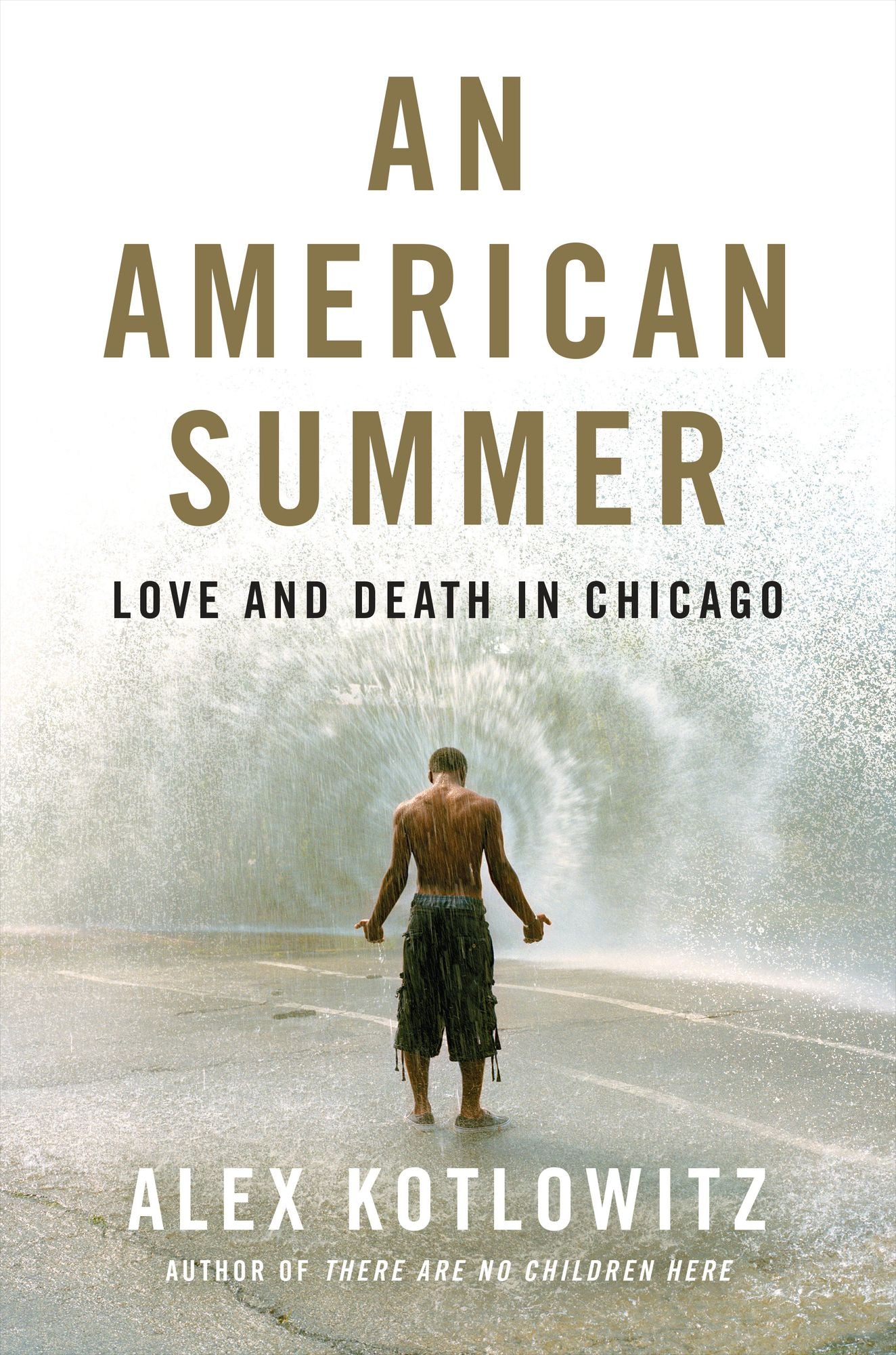 An American Summer : Love and Death in Chicago