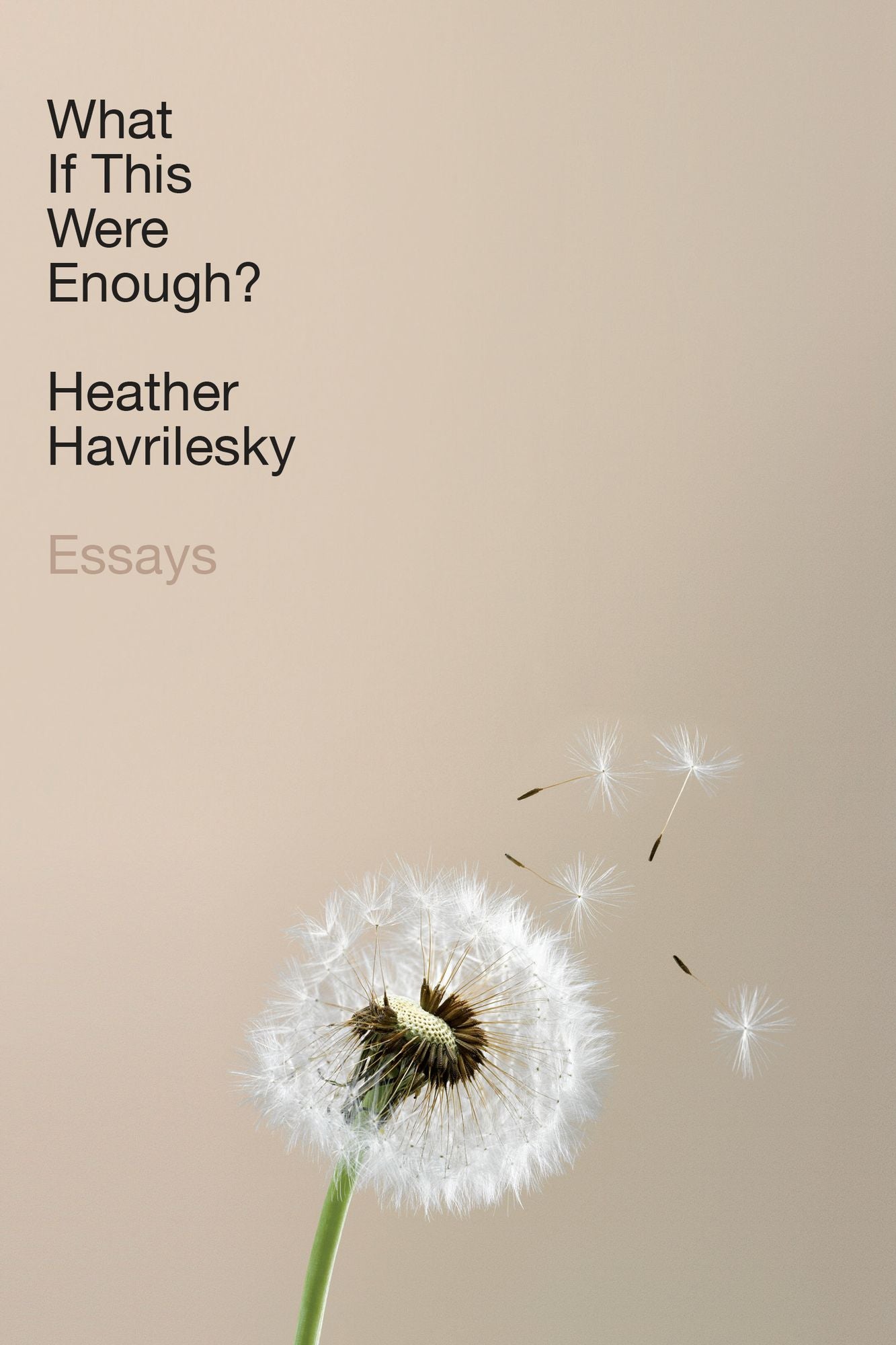 What If This Were Enough?: Essays