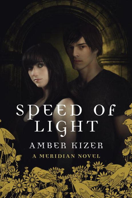 Speed of Light (Meridian Series #3)