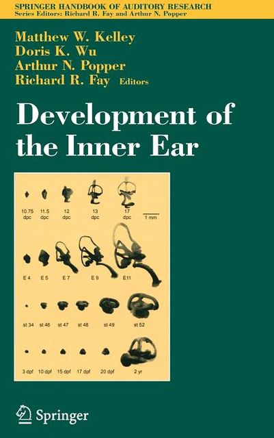Development of the Inner Ear
