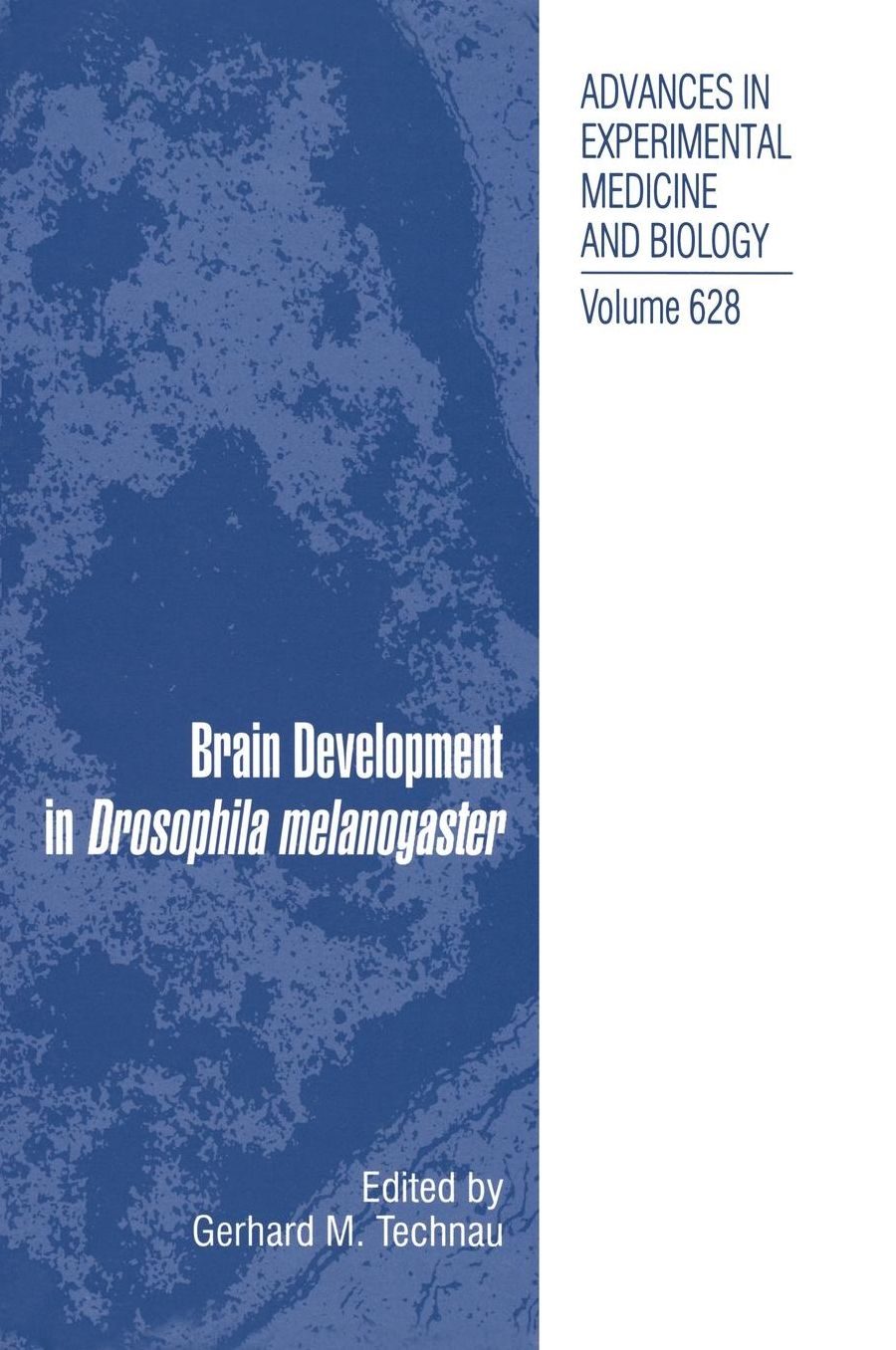 Brain Development in Drosophila melanogaster