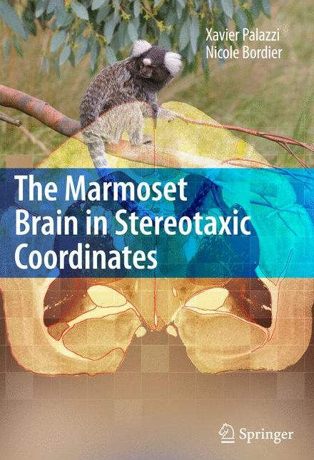 The Marmoset Brain in Stereotaxic Coordinates