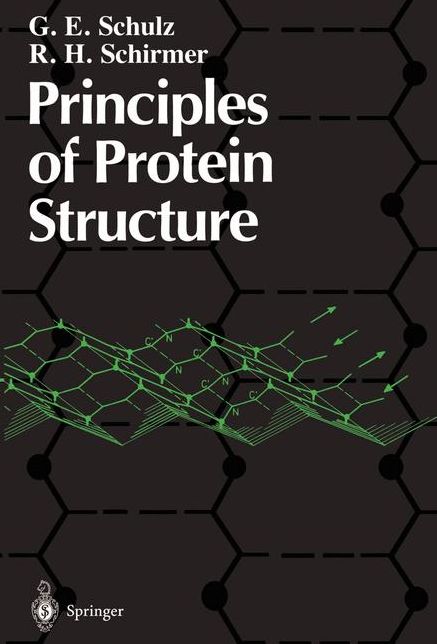 Principles of Protein Structure