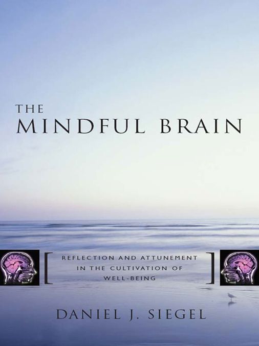 The Mindful Brain: Reflection and Attunement in the Cultivation of Well-Being
