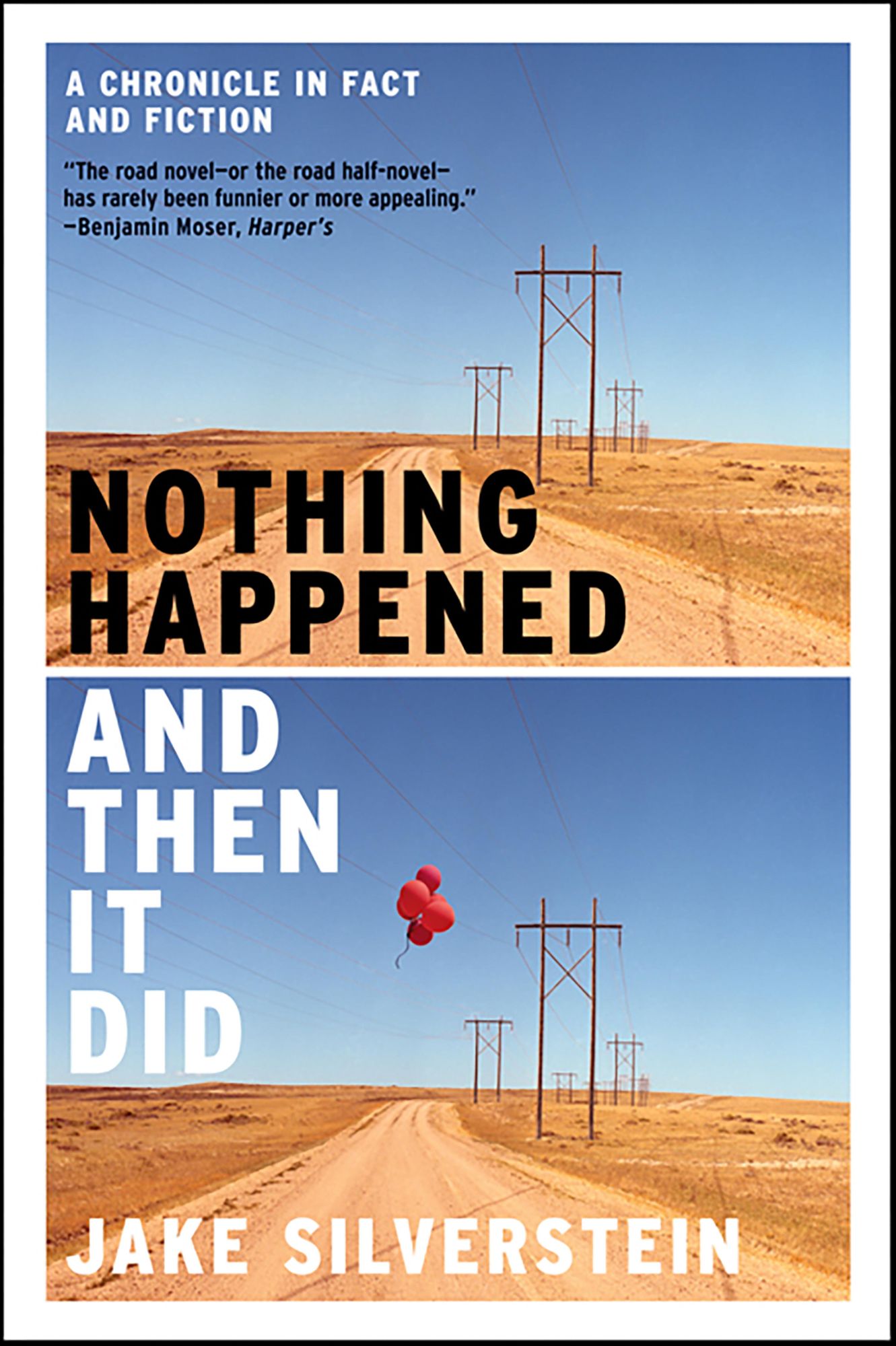Nothing Happened and Then It Did: A Chronicle in Fact and Fiction