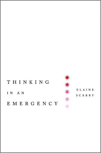 Thinking in an Emergency (Norton Global Ethics Series)