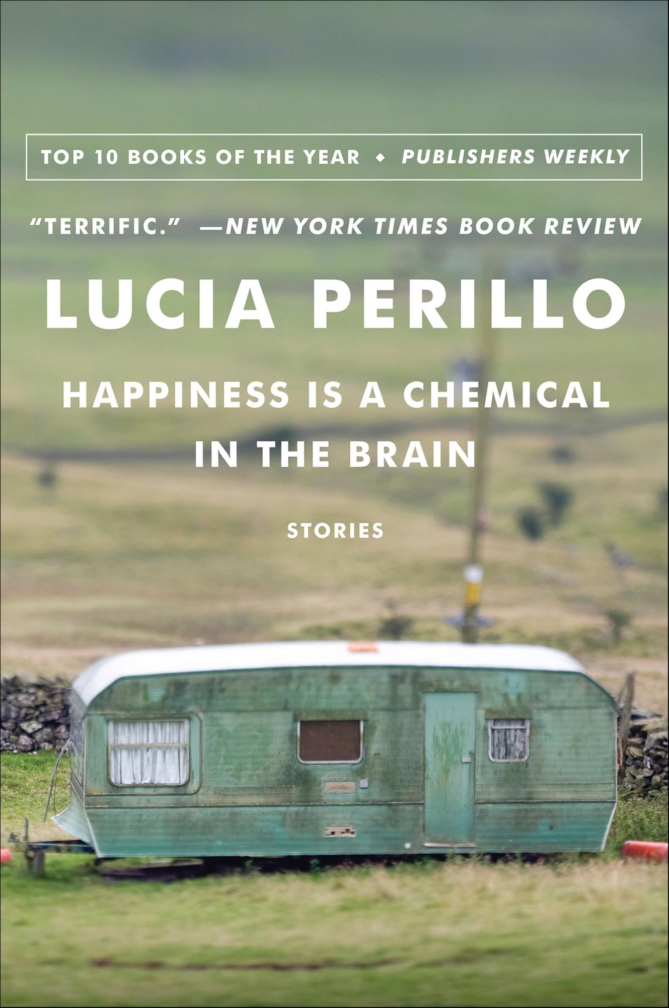 Happiness Is a Chemical in the Brain