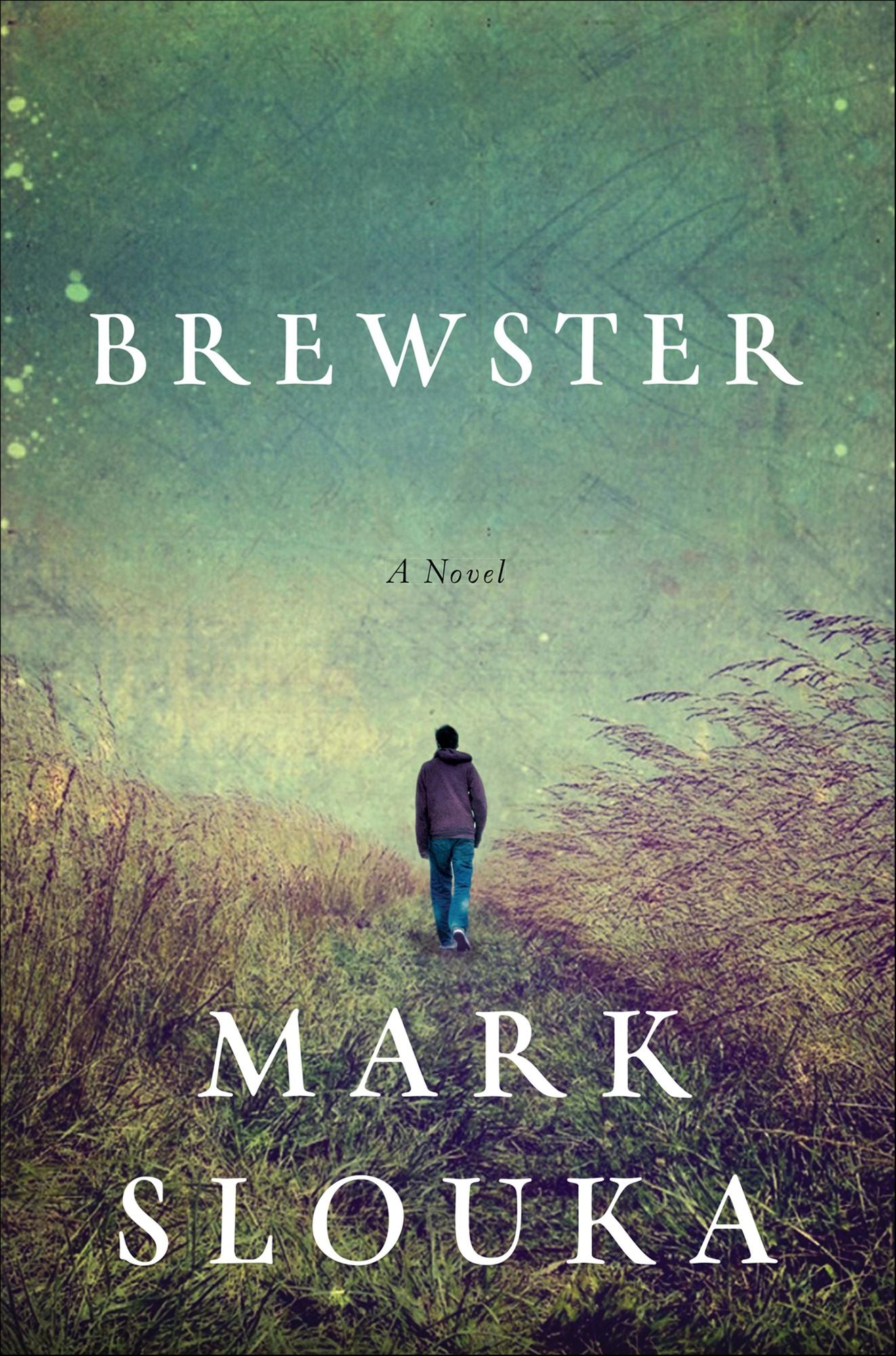 Brewster: A Novel