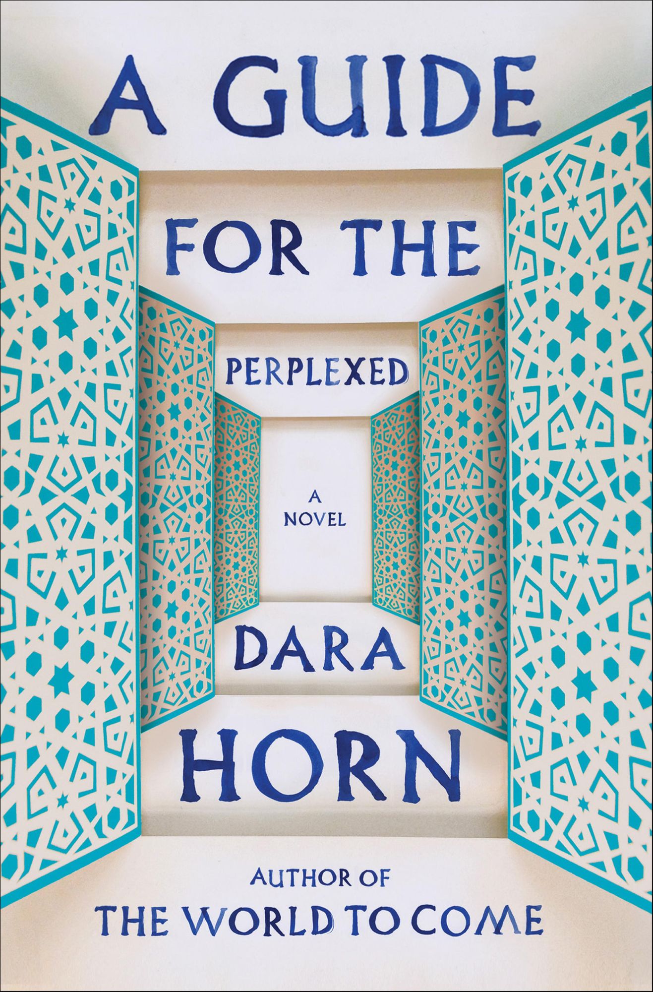 A Guide for the Perplexed: A Novel