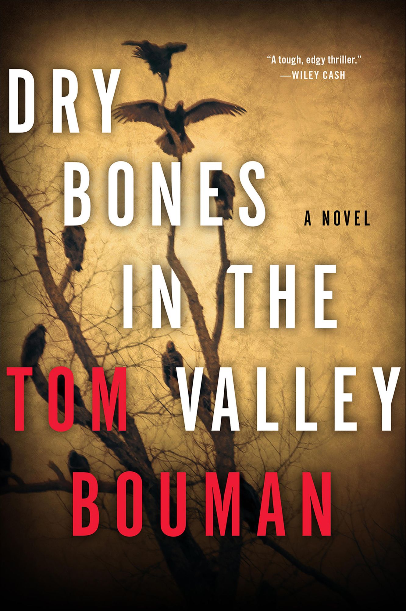 Dry Bones in the Valley (Henry Farrell Series #1)