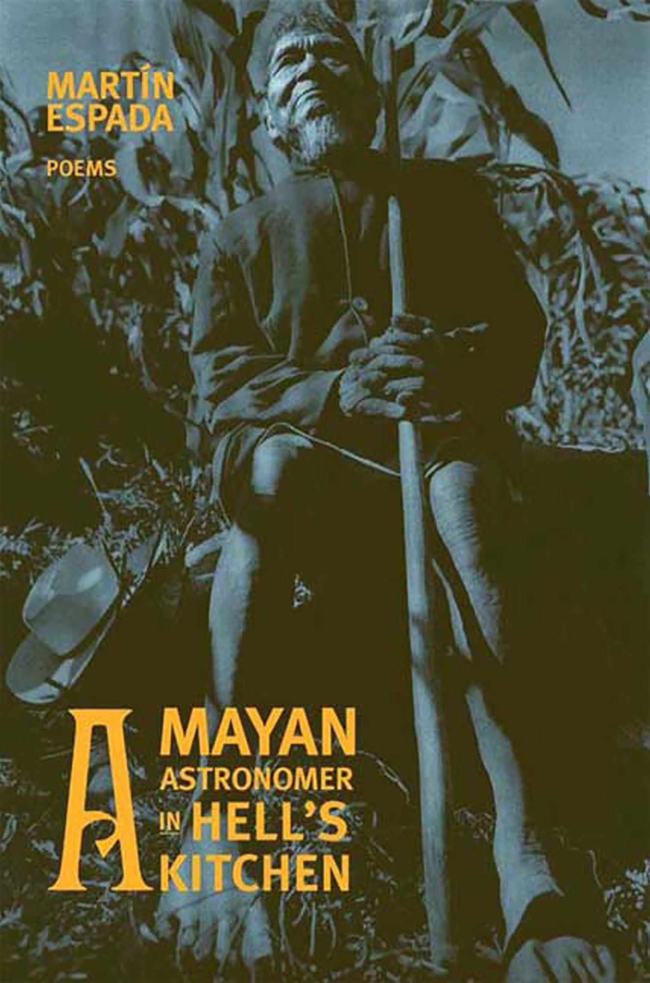 A Mayan Astronomer in Hell's Kitchen: Poems
