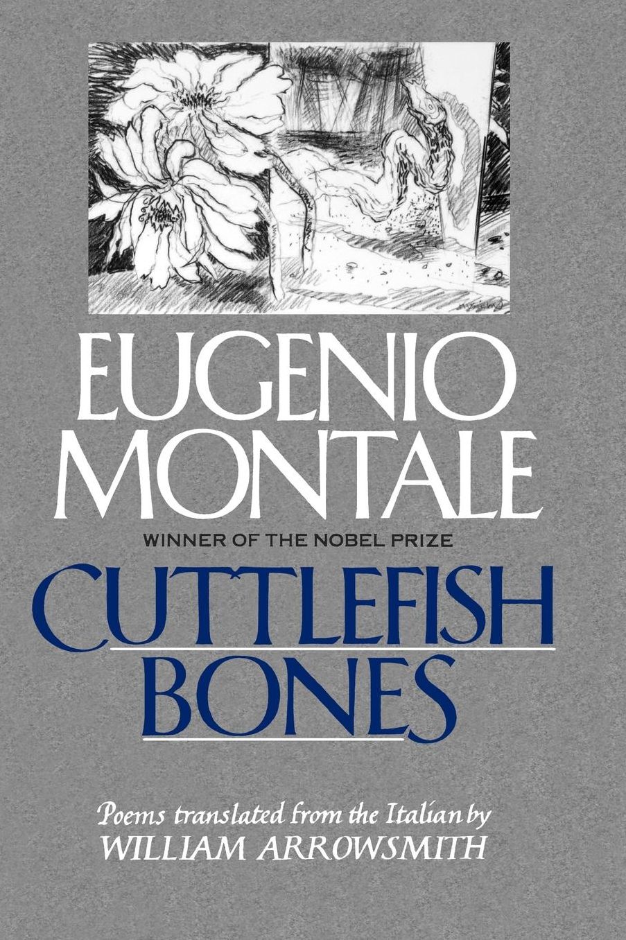 Cuttlefish Bones