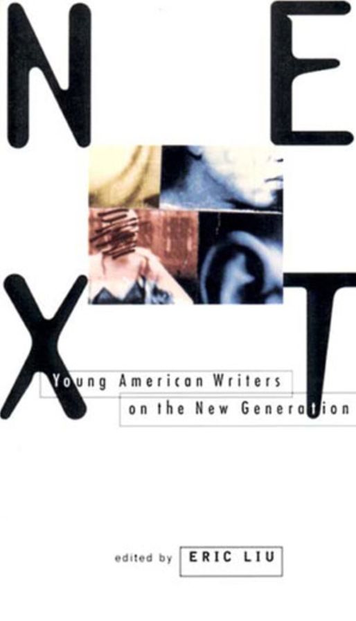 Next: Young American Writers on the New Generation