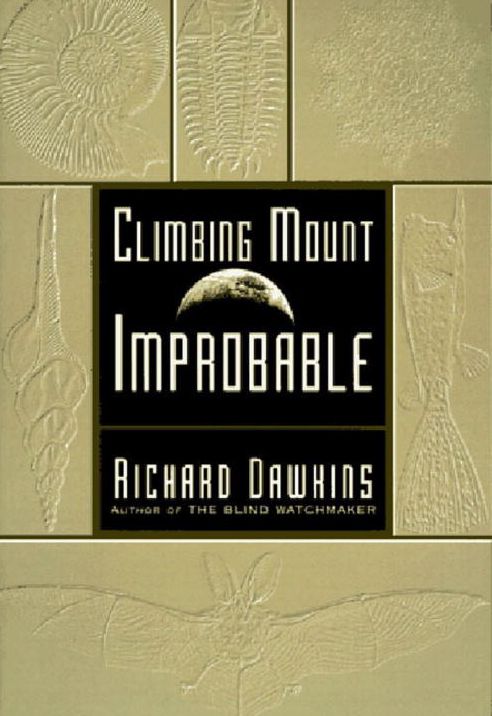 Climbing Mount Improbable
