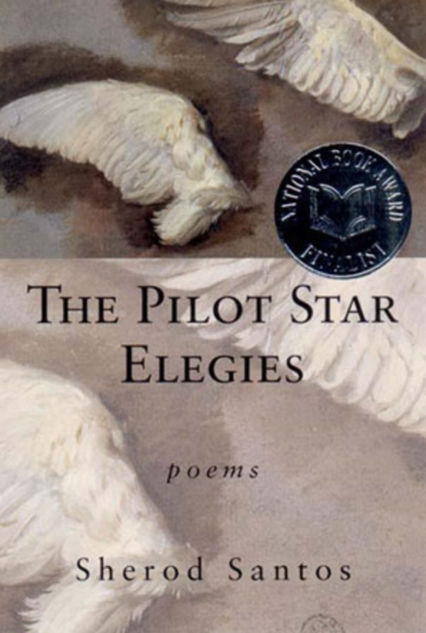 The Pilot Star Elegies