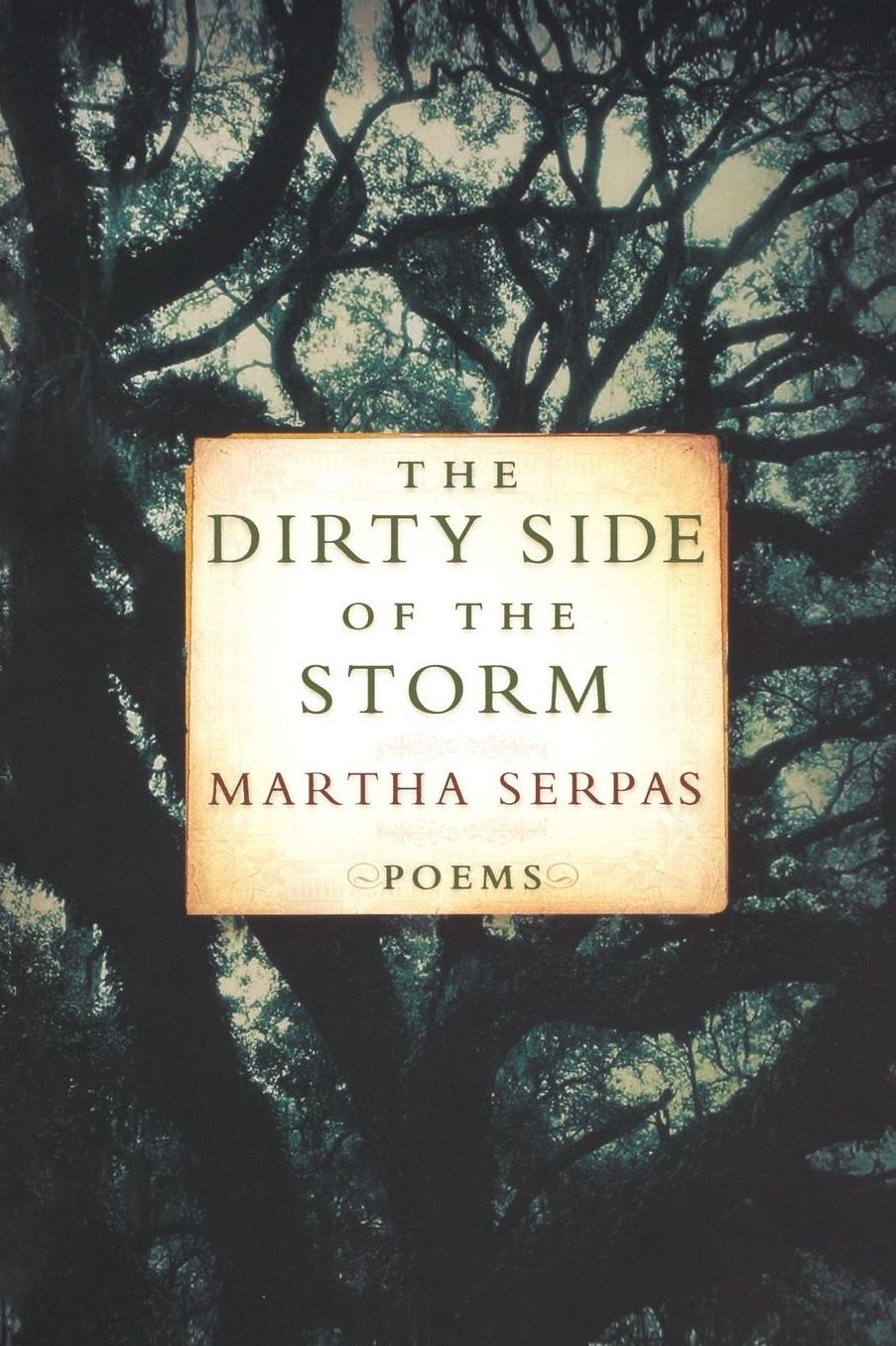 The Dirty Side of the Storm