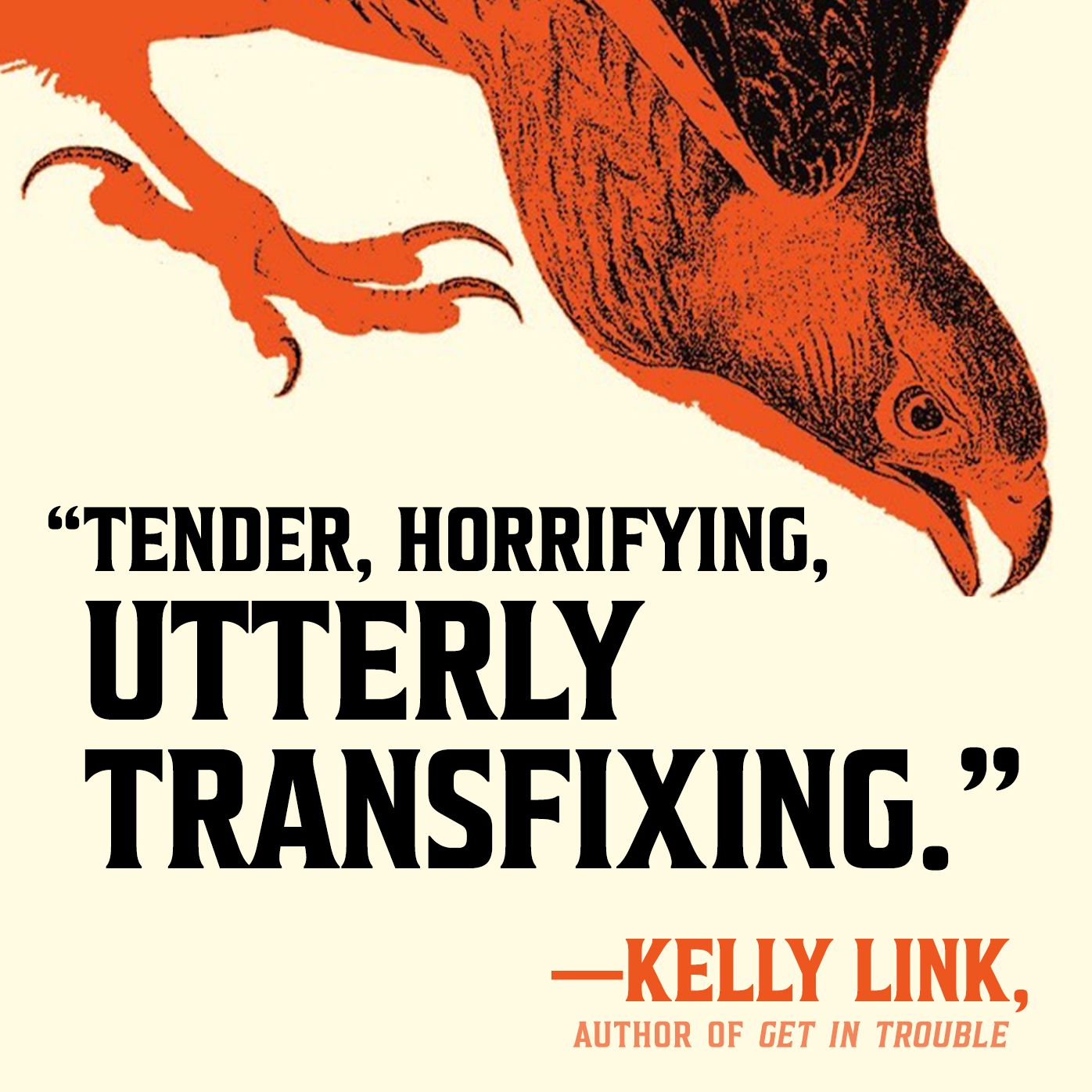 Hawk Mountain: A Novel