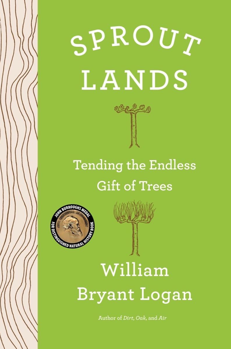 Sprout Lands: Tending the Everlasting Gift of Trees