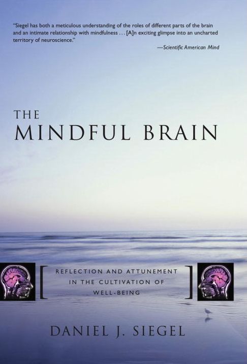 Mindful Brain: Reflection and Attunement in the Cultivation of Well-Being