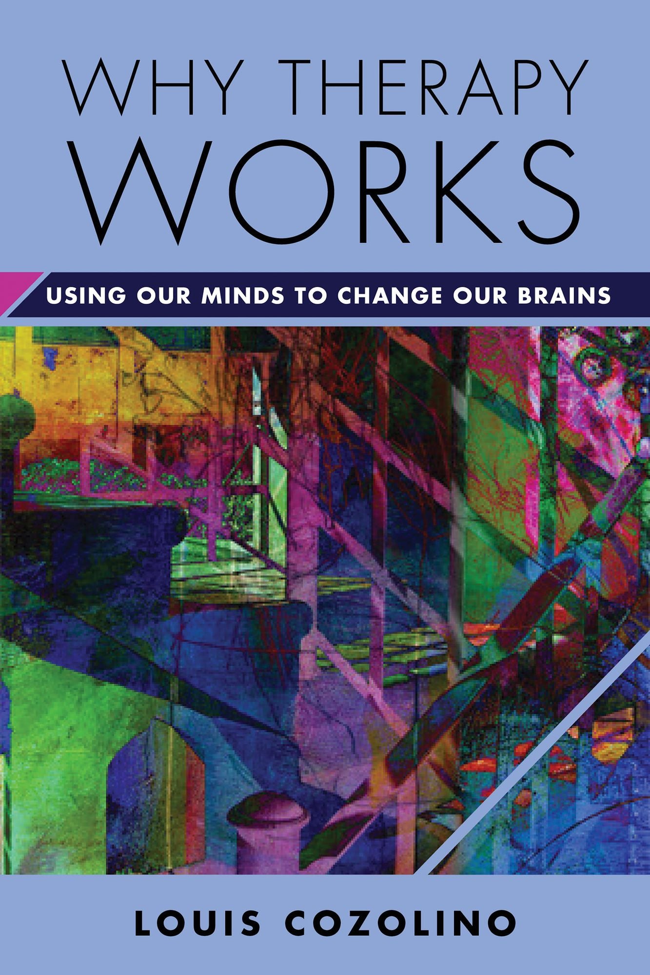 Why Therapy Works: Using Our Minds to Change Our Brains (Norton Series on Interpersonal Neurobiology)