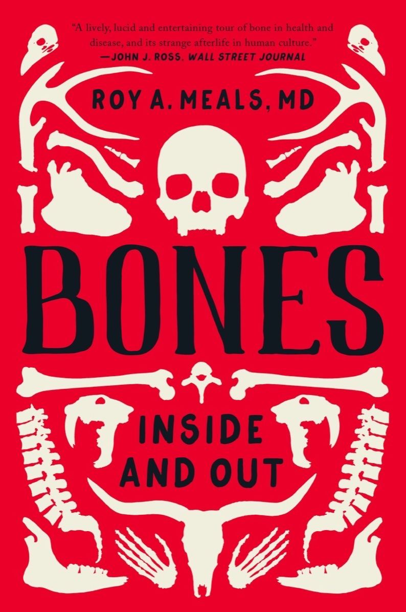 Bones: Inside and Out