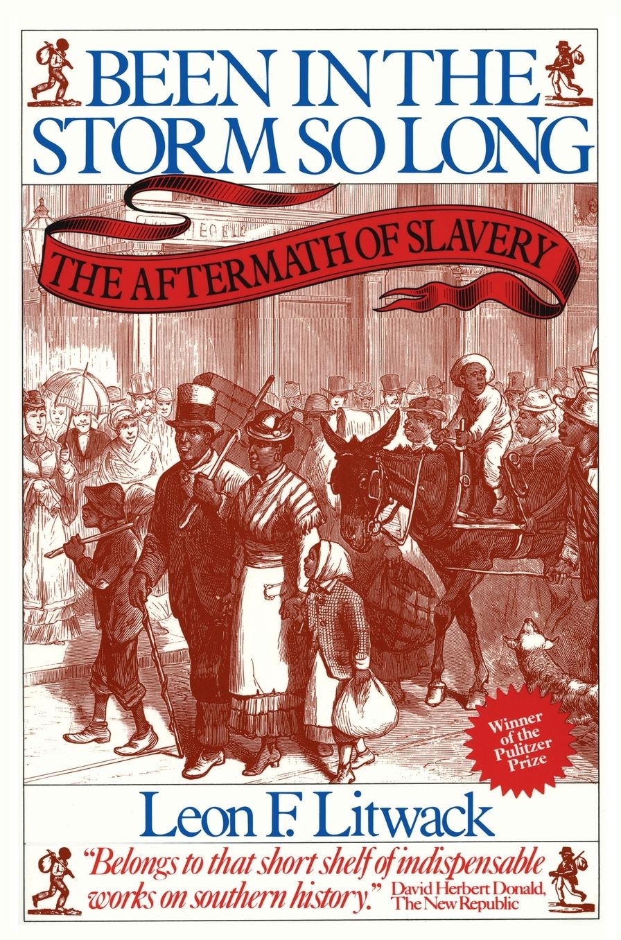 Been in the Storm So Long: The Aftermath of Slavery