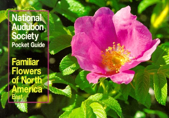 Familiar Flowers of North America: Eastern Region (Audubon Society Pocket Guides Series)