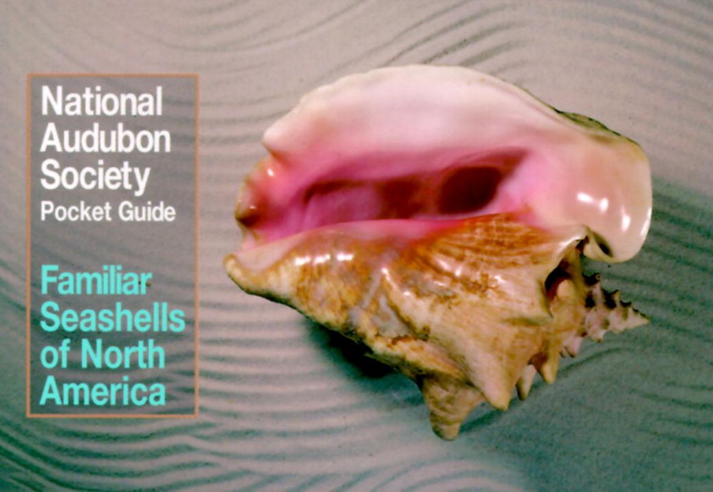 National Audubon Society Pocket Guide to Familiar Seashells
