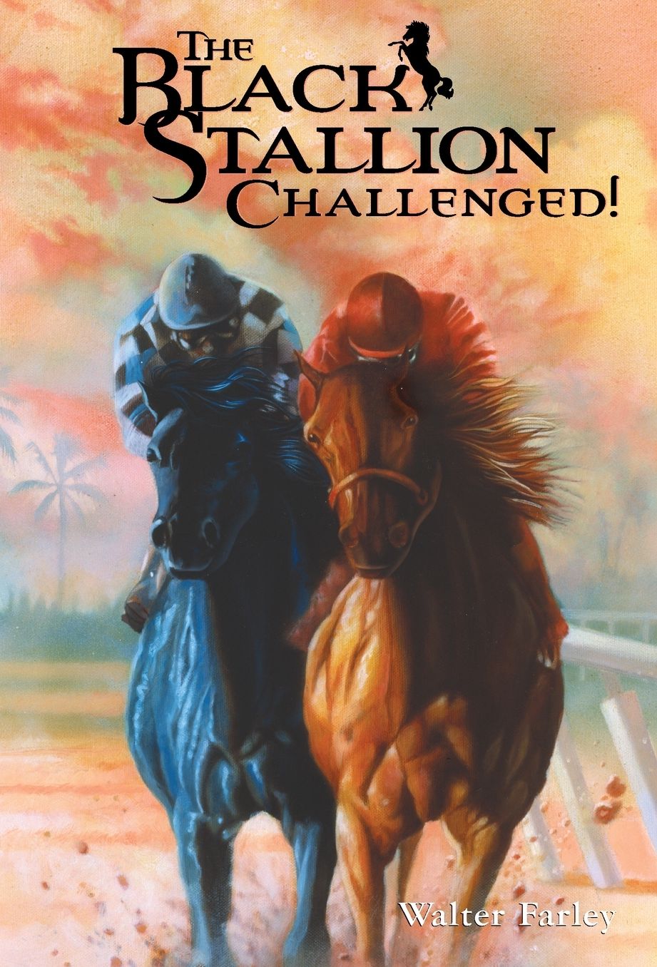 The Black Stallion Challenged!