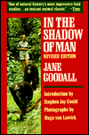 In the Shadow of Man