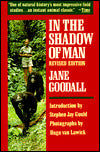 In the Shadow of Man