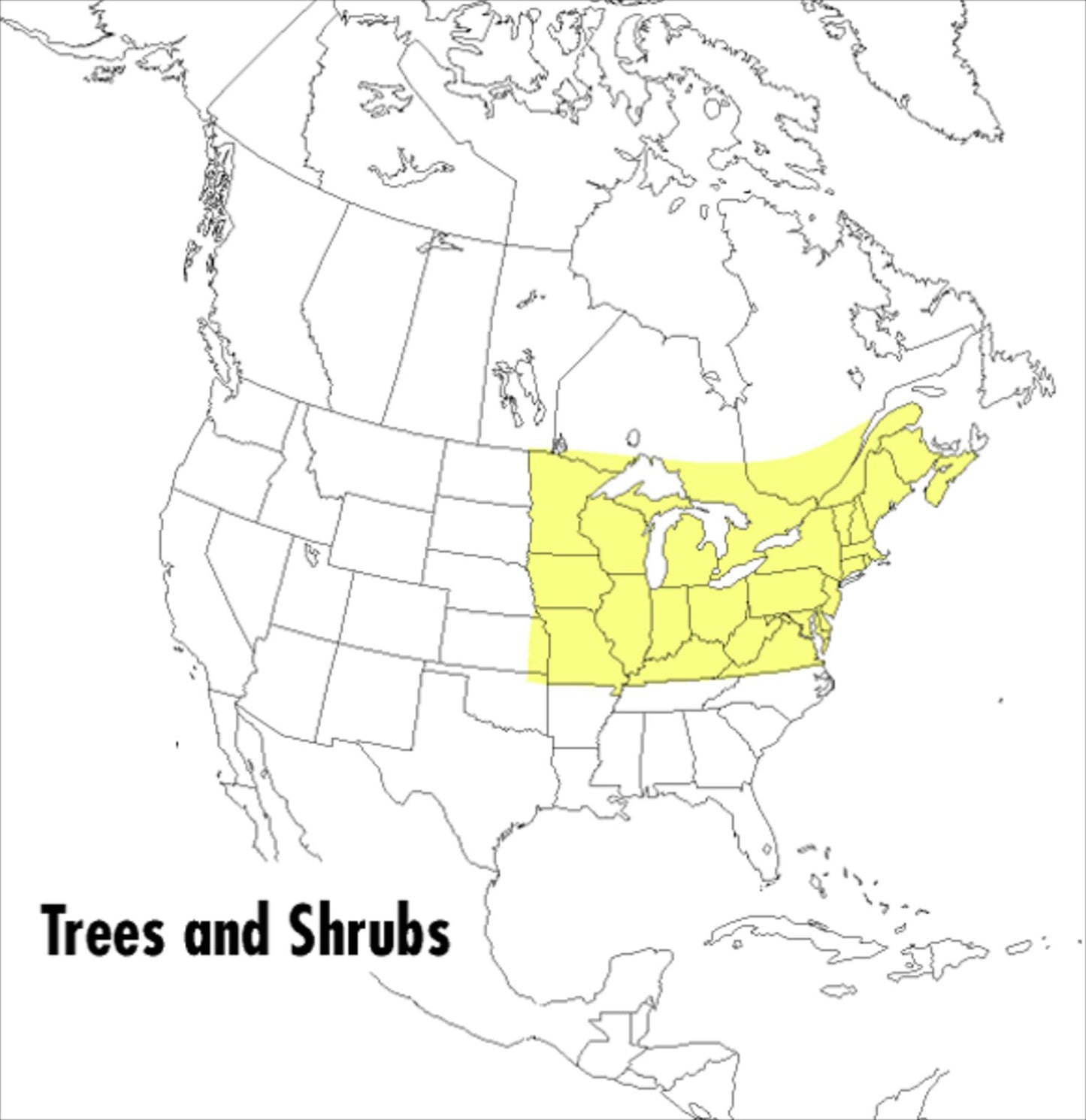 A Field Guide to Trees and Shrubs: Northeastern and north-central United States and southeastern and south-centralCanada