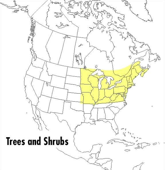 A Field Guide to Trees and Shrubs: Northeastern and north-central United States and southeastern and south-centralCanada