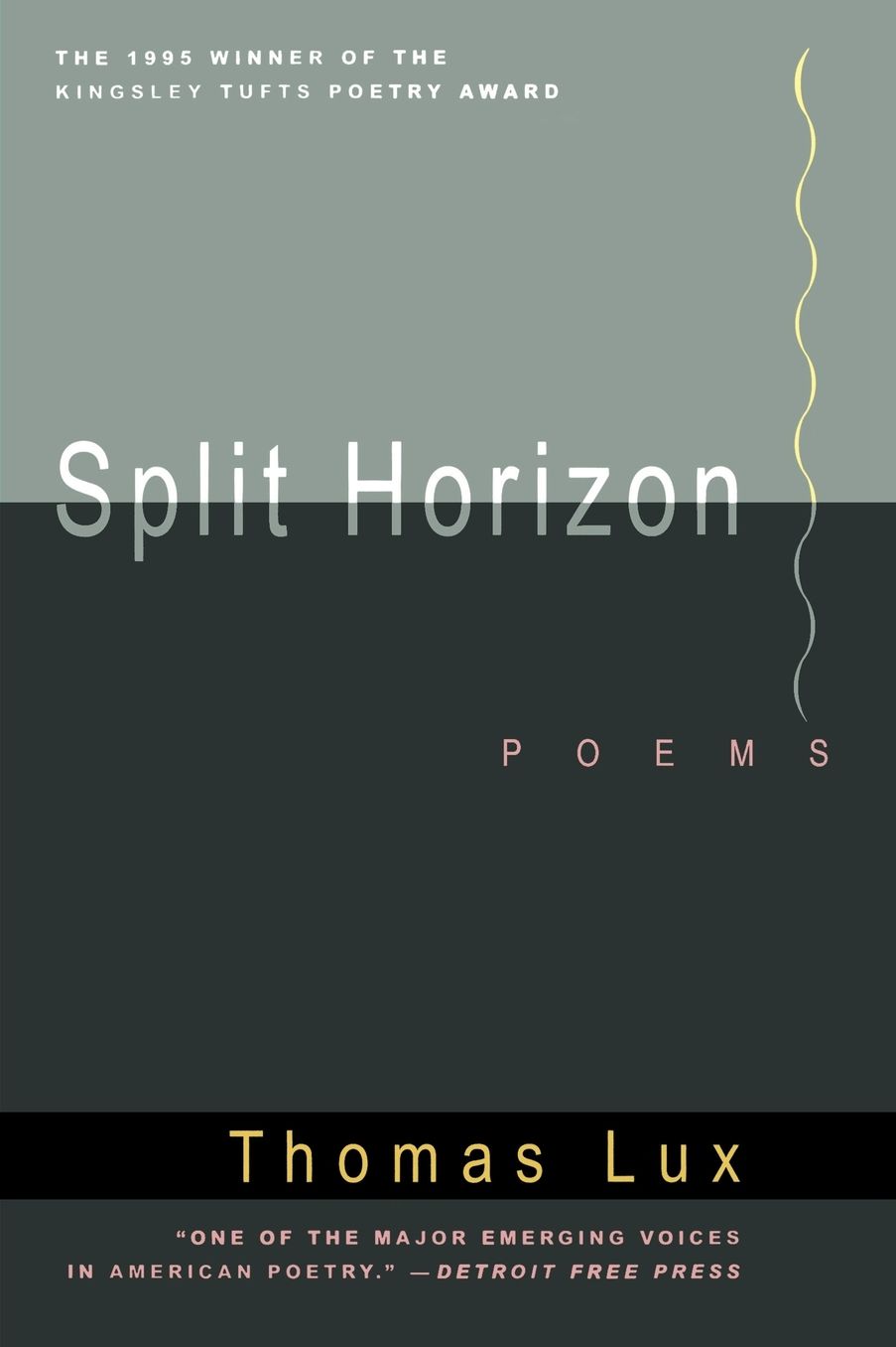 Split Horizon