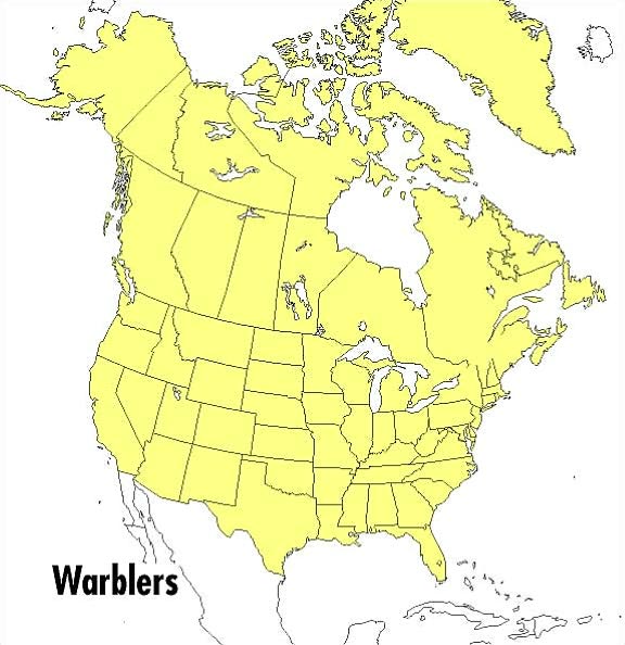 A Field Guide to Warblers of North America
