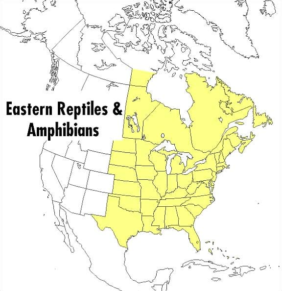 A Field Guide to Reptiles and Amphibians: Eastern and Central North America