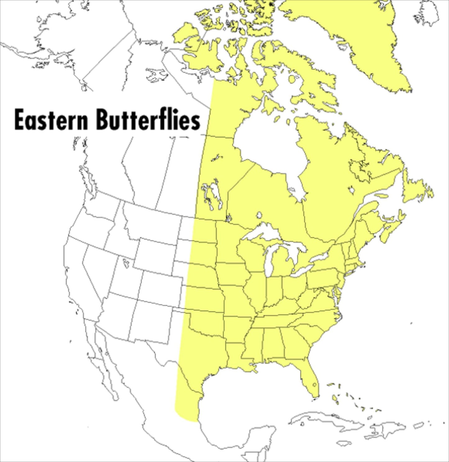 A Field Guide to Eastern Butterflies