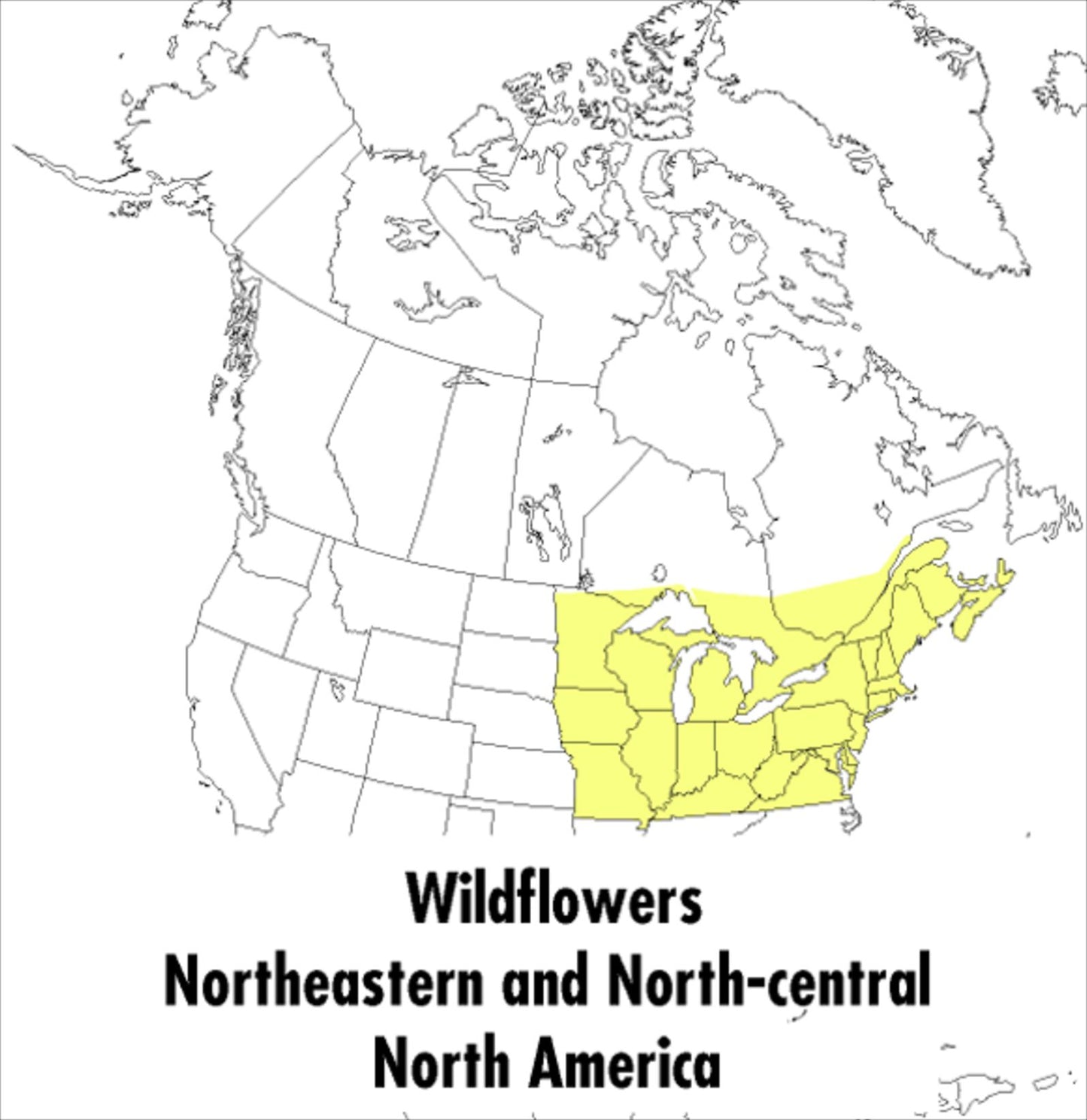 A Peterson Field Guide to Wildflowers: Northeastern and North-central North America