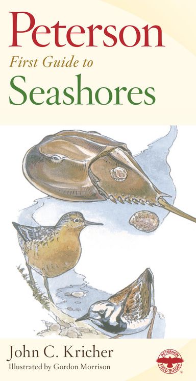 Peterson First Guide to Seashores