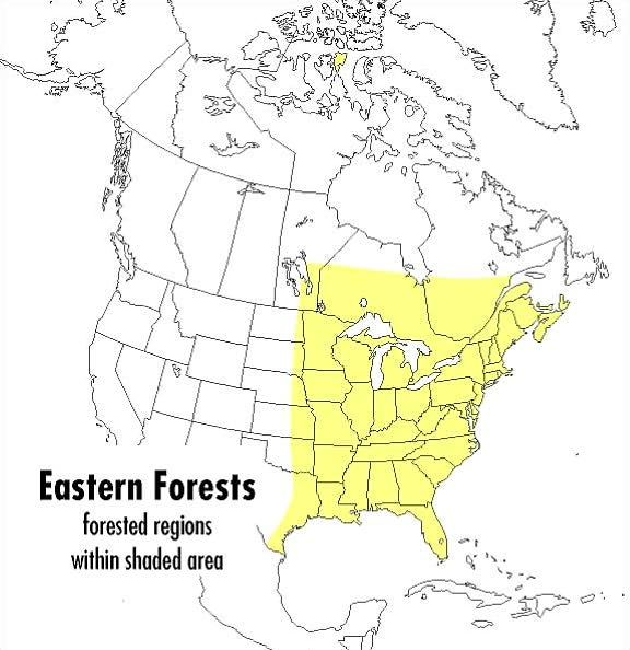 A Peterson Field Guide to Eastern Forests: North America